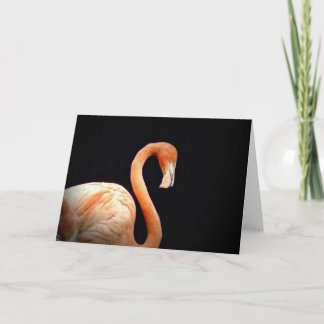 Carte Flamant rose