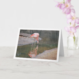 Carte Flamant Rose