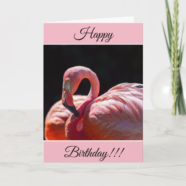 Carte Flamant rose d'anniversaire personnalisée (Devant)