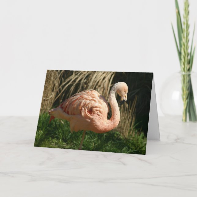 Carte Flamant rose rose (Devant)
