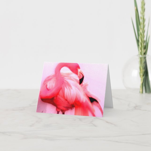 Carte Flamant rose rose (Devant)