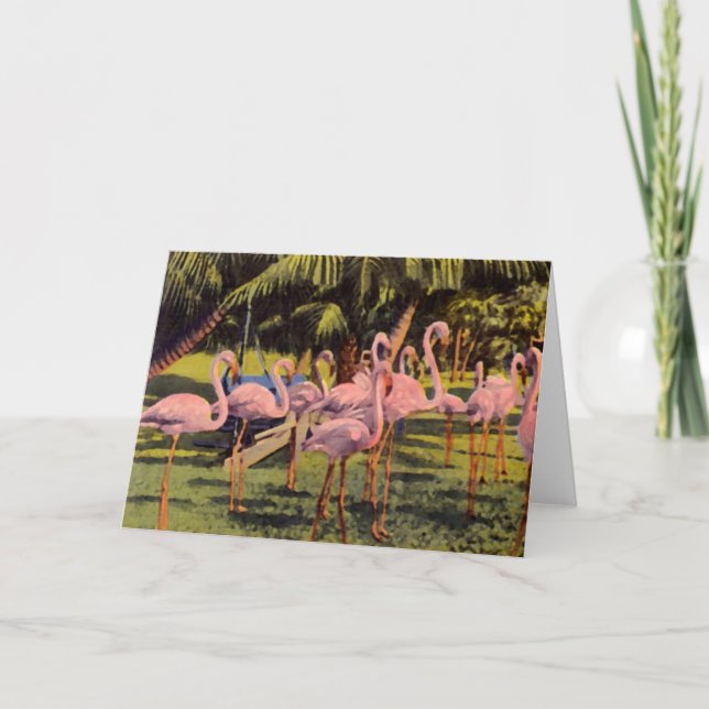 Carte Flamant rose rose de Floride (Devant)