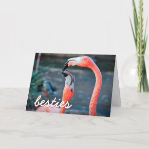 Carte Flamant rose rose Oiseaux Photo Besties Script élé