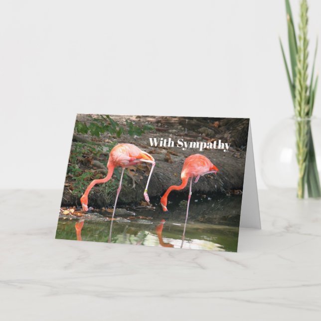 Carte Flamant rose rose Pair Faune Sympathie Photo (Devant)