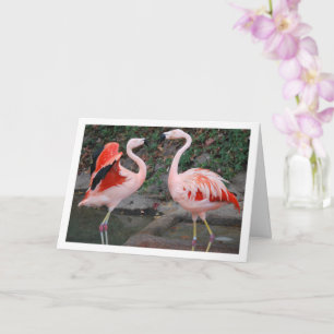 Carte Flamants roses