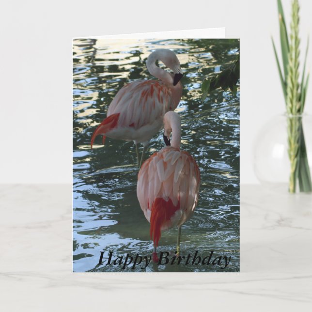 Carte Flamants roses (Devant)