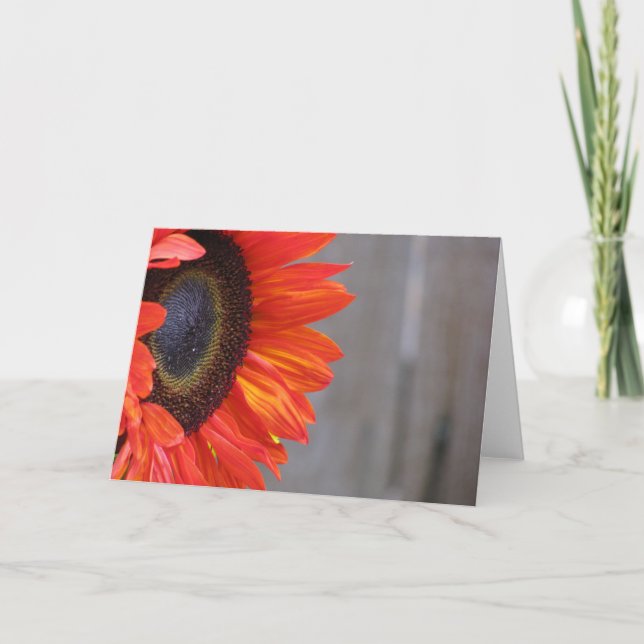 Carte Flamme orange de tournesol (Devant)