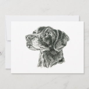 Carte Flat Black Lab