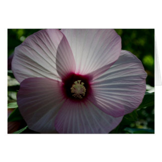 Carte Fleur