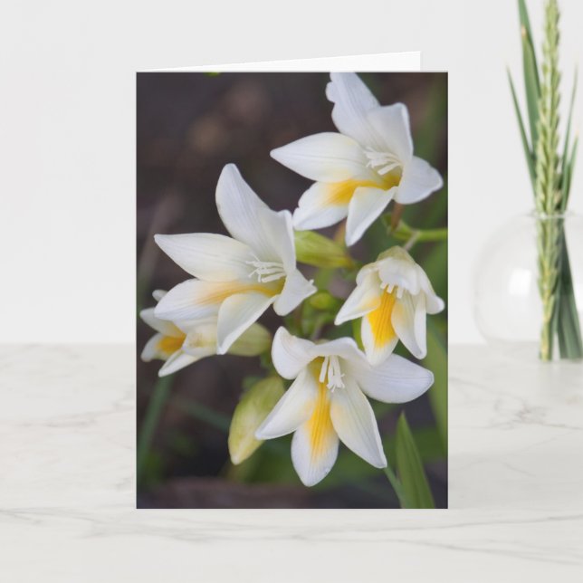 Carte Fleur #1668 (Devant)