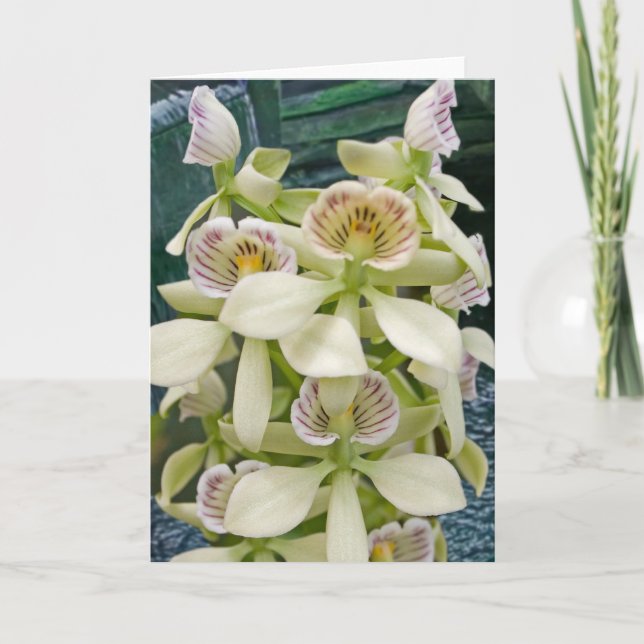 Carte Fleur #2817 (Devant)