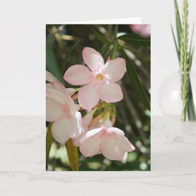 Carte Fleur #3363 (Devant)