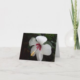 Carte Fleur blanche - Pensando en ti, espagnol