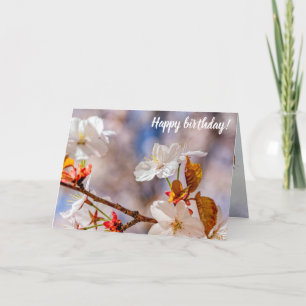 Carte Fleur Blanche Sakura Et Feuilles Oranges