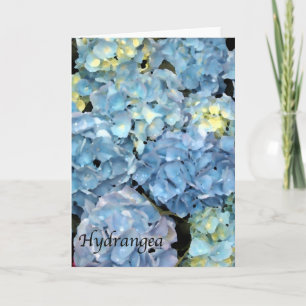 Carte Fleur Blue Hydrangea