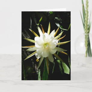 Carte Fleur Cactus