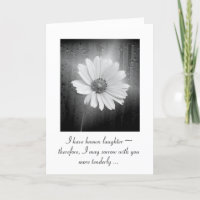 Fleur Cosmos Blanc Avec Pluie
