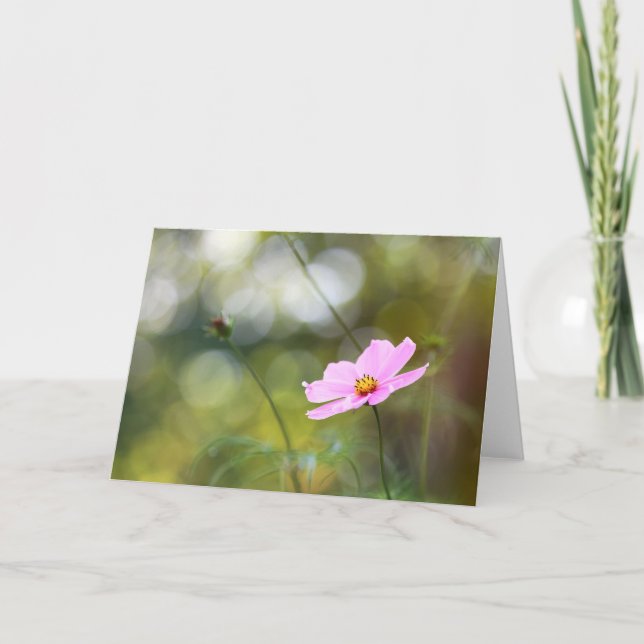 Carte Fleur Cosmos Rose Fin Après-Midi Bokeh (Devant)