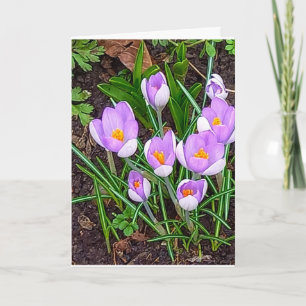 Carte Fleur Crocus Joyeux Pâques