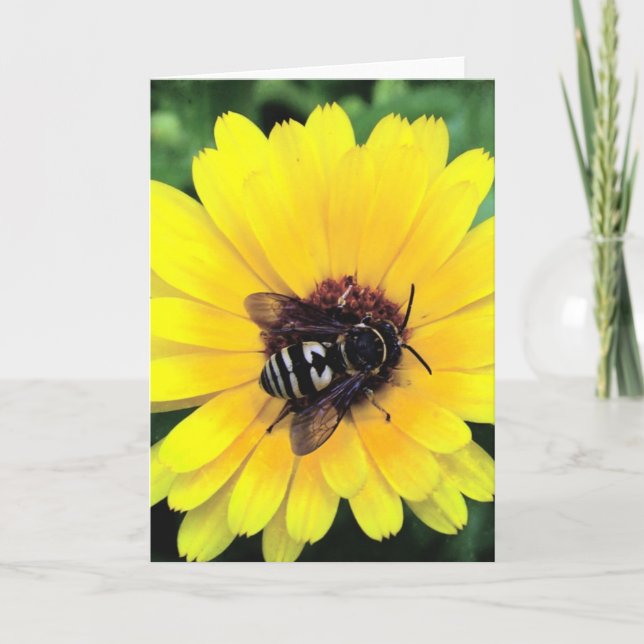 Carte Fleur d'abeilles et de jaunes (Devant)