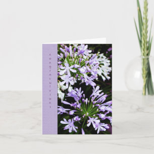 Carte Fleur d'Agapanthus