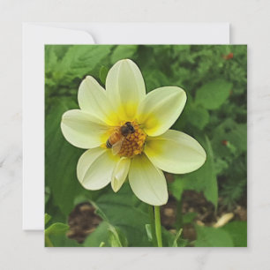 Carte Fleur Dahlia et abeille