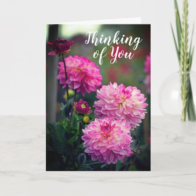 Carte Fleur Dahlia rose et blanc qui pense à vous (Devant)