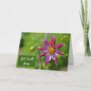 Carte Fleur Dahlia rose et violet se portent bien bientô