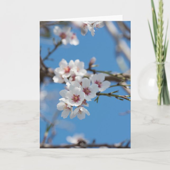 Carte Fleur d'amande (Devant)