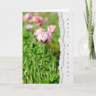 Carte Fleur d'anniversaire de pavot rose