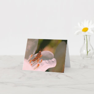 Carte Fleur d'azalée et criquet personnalisé Note