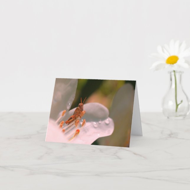 Carte Fleur d'azalée et criquet personnalisé Note (Petite plante)