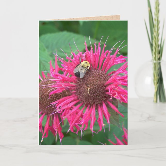 Carte Fleur de baume d'abeille rose et abeille de miel (Devant)