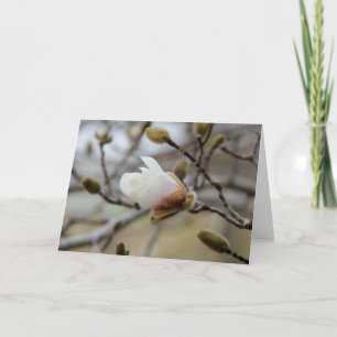 Carte Fleur de bourgeonnement de magnolia, vers