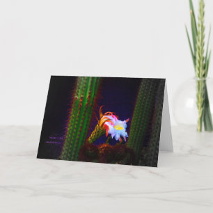 Carte "Fleur de cactus au coucher du soleil n°105" Photo