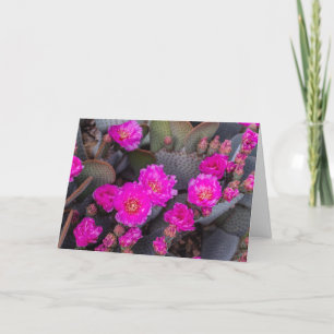Carte Fleur de cactus rose vif   Pensant à vous sur mesu