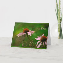 Fleur de cône 1 "Merci"