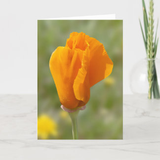 Carte Fleur de coquelicot doré
