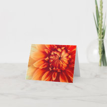 Fleur de Dahlia (Cachée)