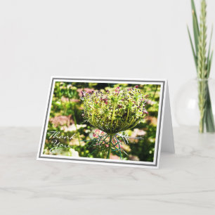 Carte Fleur de dentelle de la reine Anne fourrée au feui