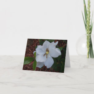 Carte Fleur de gardénia blanche élégante sur un