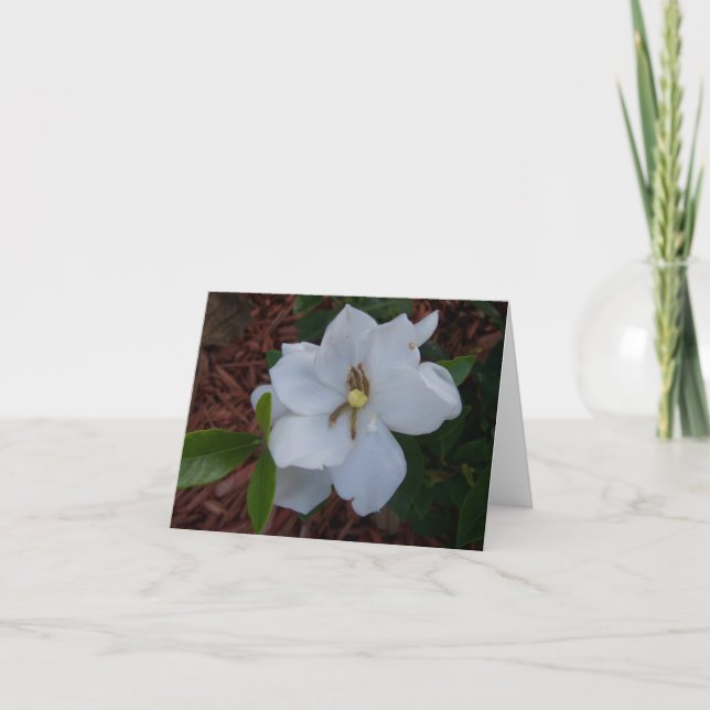 Carte Fleur de gardénia blanche élégante sur un (Devant)