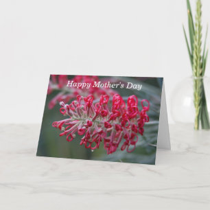 Carte fleur de grevillea