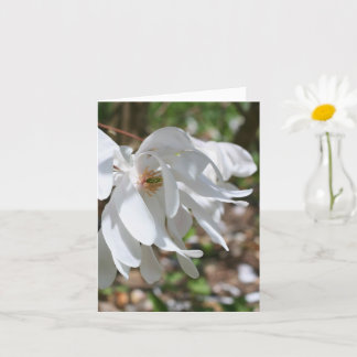 Carte Fleur de Magnolia Blanche Note Personnalisée