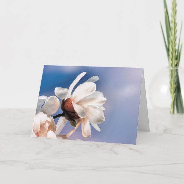 Carte Fleur de magnolia printanière (Devant)