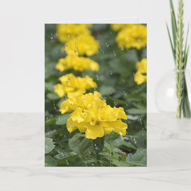 Carte fleur de marigold jaune et pluie (Devant)