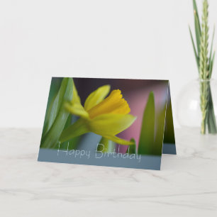 Carte Fleur de narcisse jaune CC0743 Joyeux anniversaire
