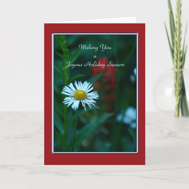 Carte Fleur de Pâquerette Blanche pour une Saison  (Devant)