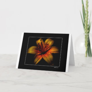 Carte Fleur de passion flamboyante