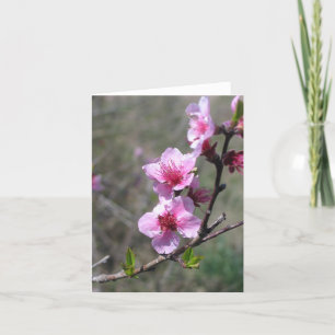 Carte Fleur de pêche - customisée